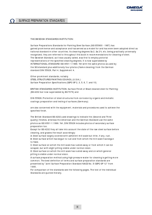 SURFACE PREPARATION STANDARDS