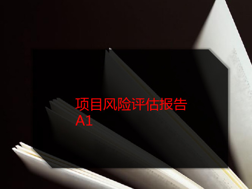 项目风险评估报告A1