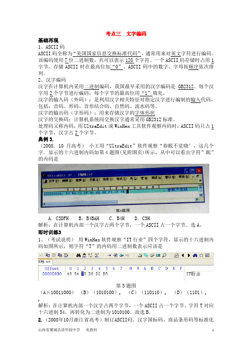 考点3文字编码知识梳理典型例题及训练解析