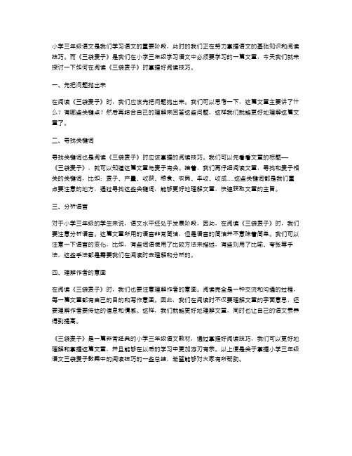 掌握小学三年级语文三袋麦子教案中的阅读技巧