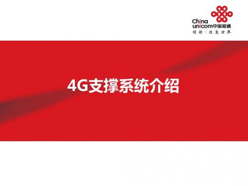 联通4G支撑系统介绍.