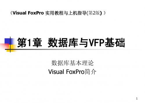 VFP基础