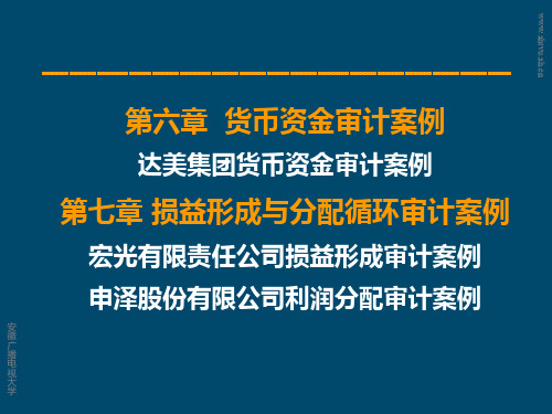 第六章货币资金审计案例达美集团货币资金审计案例第七章