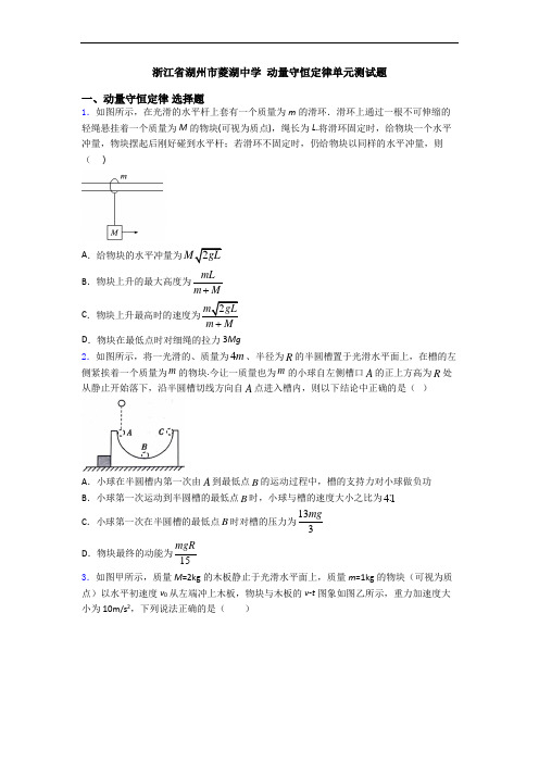 浙江省湖州市菱湖中学 动量守恒定律单元测试题