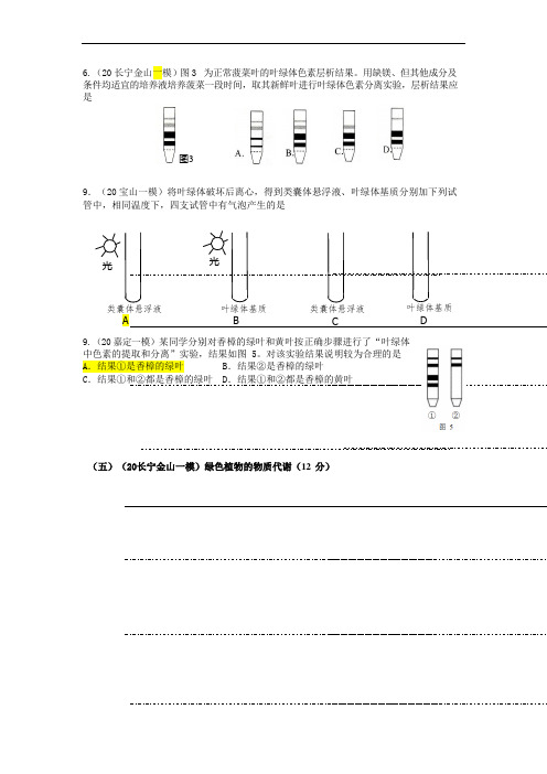 2020高考生命科学一轮复习 专题   1-5光合作用  含答案