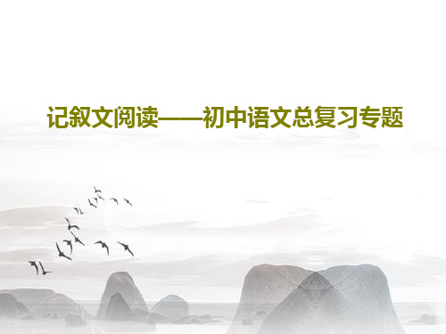 记叙文阅读——初中语文总复习专题共45页文档