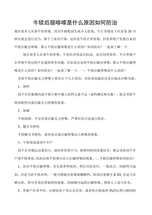 牛犊后腿哆嗦是什么原因如何防治