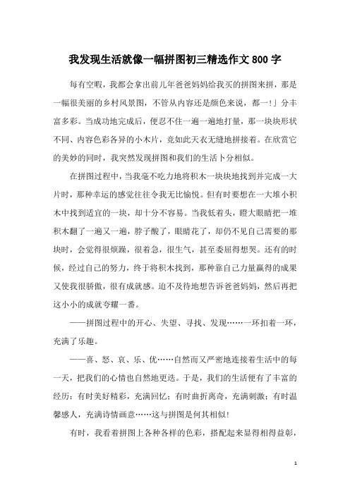 我发现生活就像一幅拼图初三精选作文800字