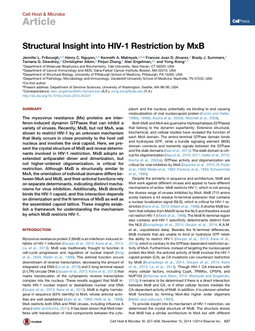 xiong yong--Structural Insight into HIV-1 Restriction by MxB