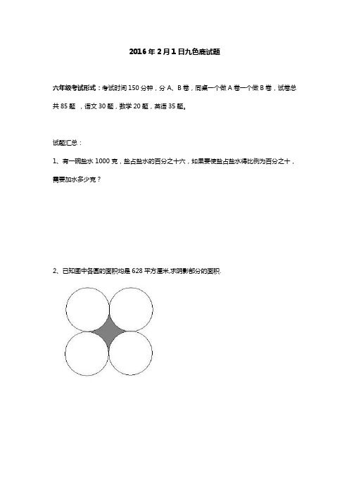 2016年九色鹿测评卷