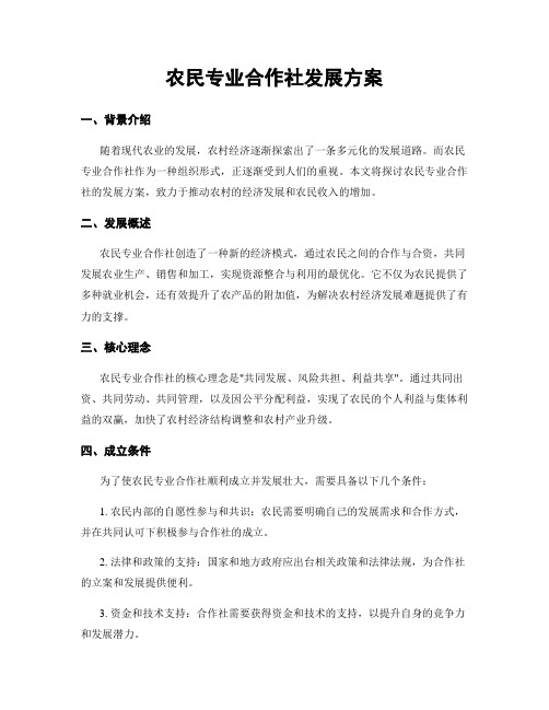 农民专业合作社发展方案