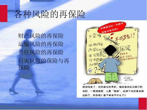 各种风险的再保险