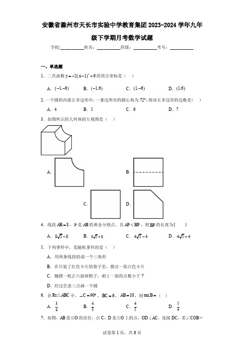 安徽省滁州市天长市实验中学教育集团2023-2024学年九年级下学期月考数学试题