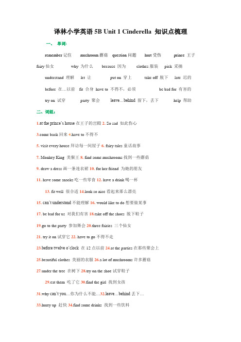 译林小学英语5B Unit 1 Cinderella 知识点梳理