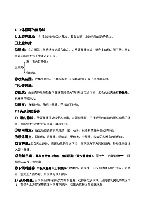 13体循环的静脉、淋巴系统