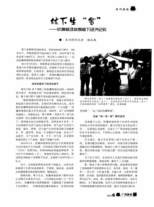 林下生“金”——钦廉林场发展林下经济纪实
