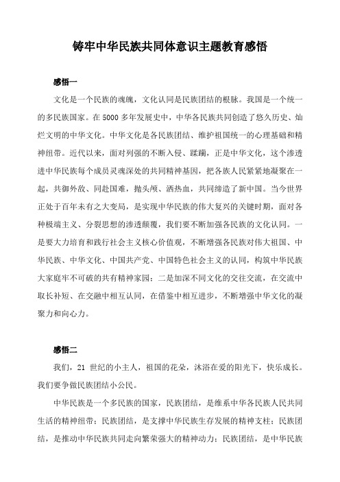 铸牢中华民族共同体意识主题教育感悟