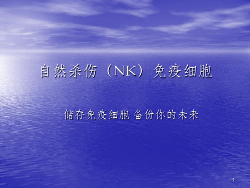 NK细胞简介ppt课件