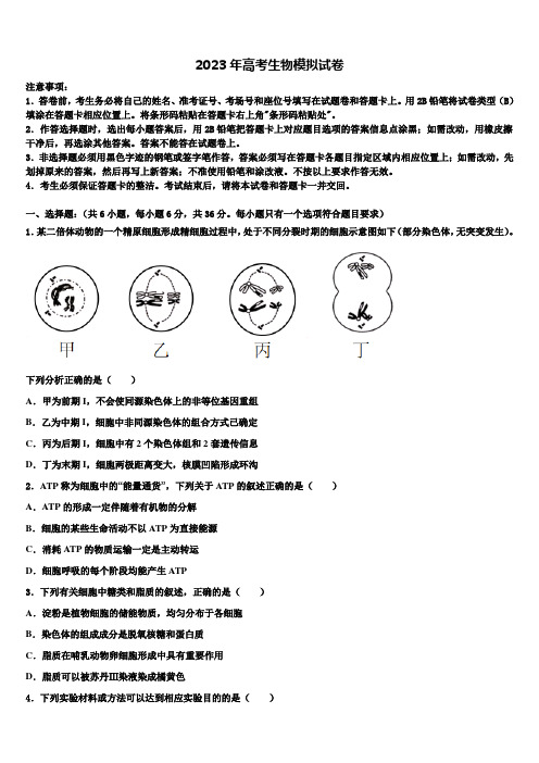 北京一零一中学2023届高考仿真卷生物试卷含解析