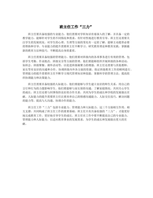 班主任工作“三力”