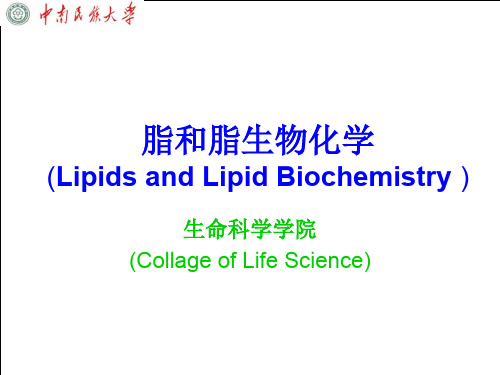 脂和脂生物化学(LipidsandLipidBioch