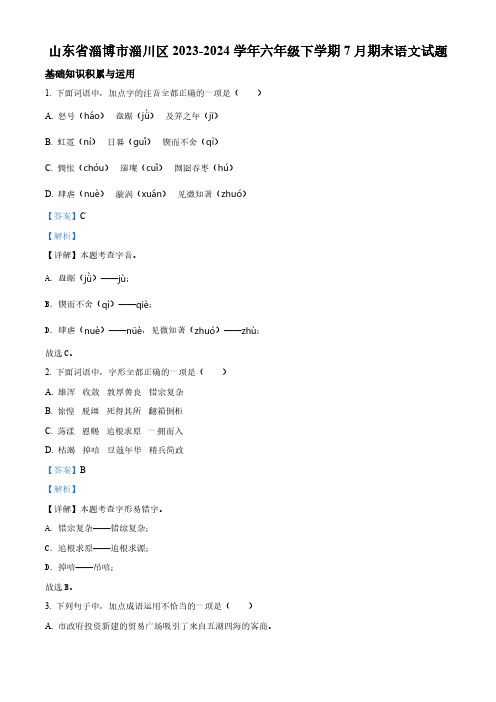 山东省淄博市淄川区2023-2024学年六年级下册期末考试语文试卷(解析版)