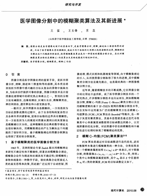 医学图像分割中的模糊聚类算法及其新进展