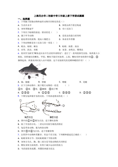 上海民办华二初级中学八年级上册下学期试题题