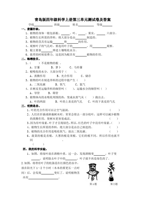 青岛版四年级科学上册第三单元测试卷及答案