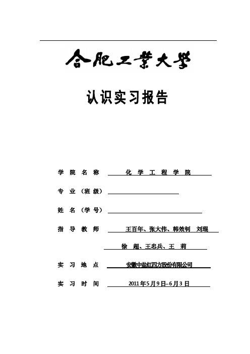 安徽中盐红四方生产实习报告