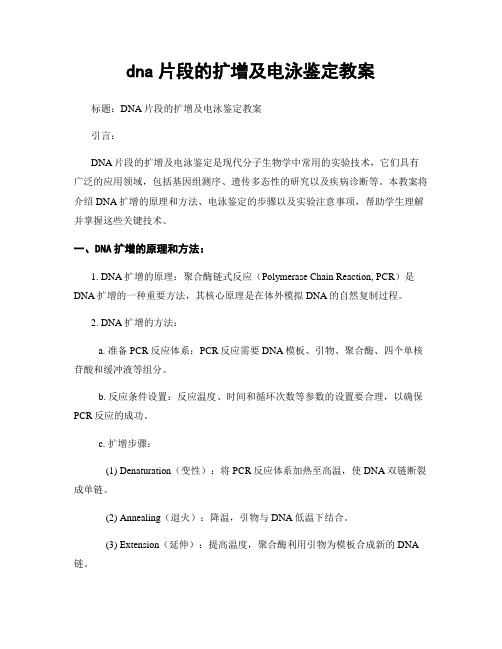 dna片段的扩增及电泳鉴定教案