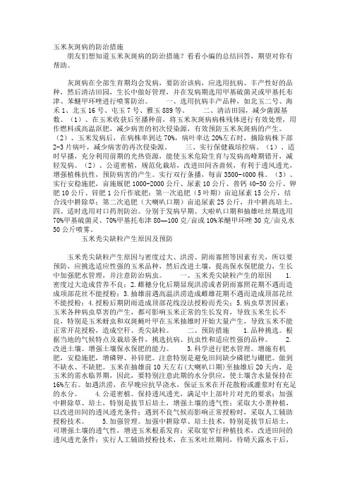 玉米灰斑病的防治措施