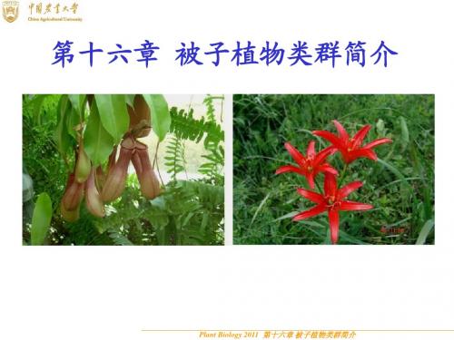 第十六章被子植物主要类群简介一资料