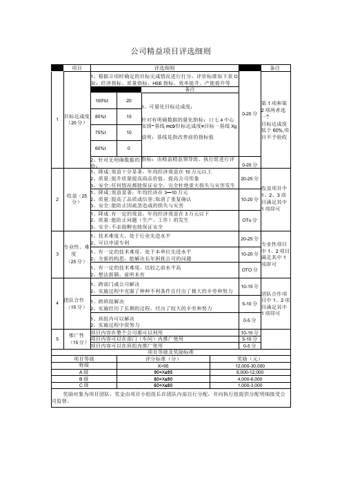 公司精益项目评选细则