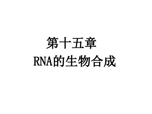 第15章  RNA的生物合成