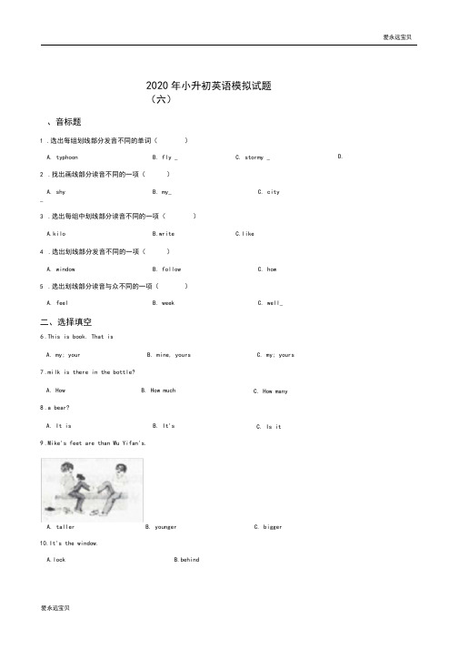 2020年小升初英语模拟必刷题(六)(湘少版含答案)