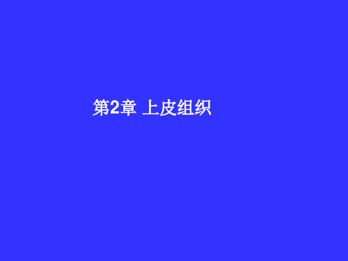 组织学与胚胎学：第2章 上皮组织