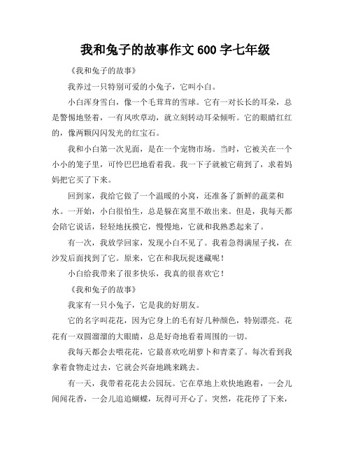 我和兔子的故事作文600字七年级