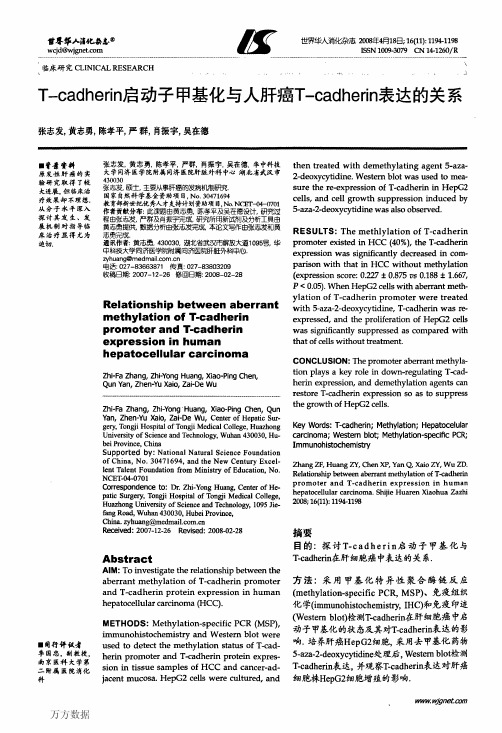 T-cadherin启动子甲基化与人肝癌T-cadherin表达的关系