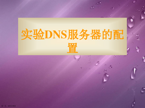 实验DNS服务器的配置