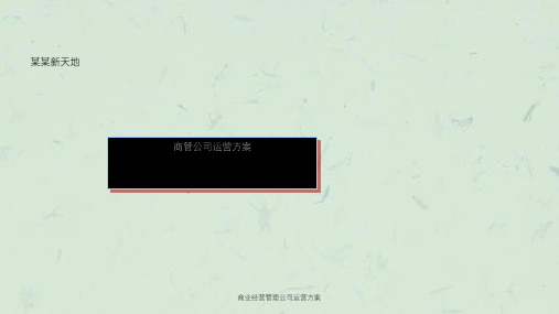 商业经营管理公司运营方案课件