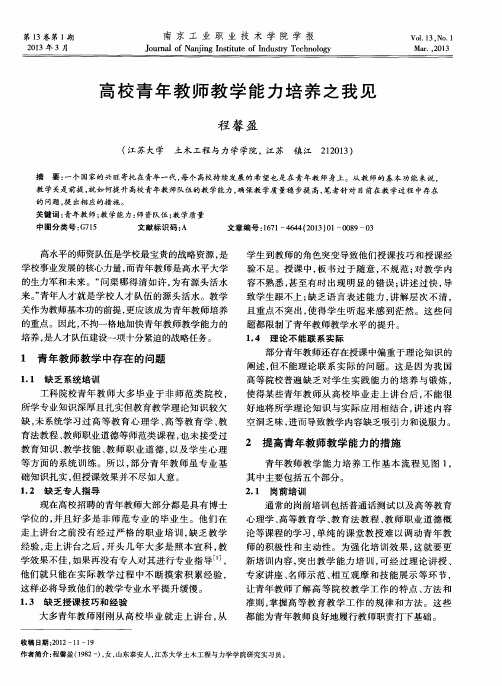 高校青年教师教学能力培养之我见