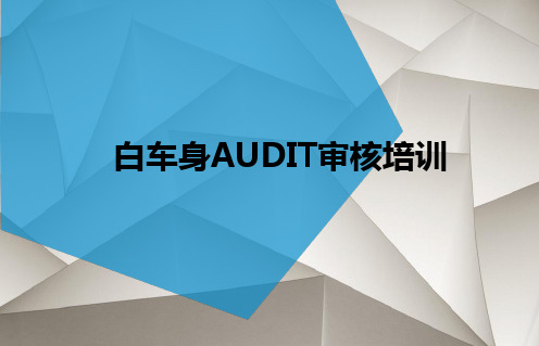 白车身AUDIT审核培训