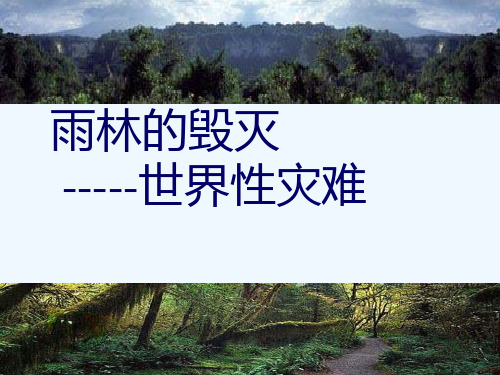 张馨予《雨林的毁灭——世界性灾难》课件