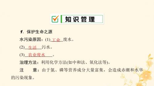 九年级化学下册第十一单元化学与社会发展第四节化学与环境保护课件(新版)鲁教版