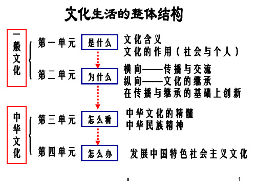 高中政治必修三(文化生活)第一课第一框 体味文化