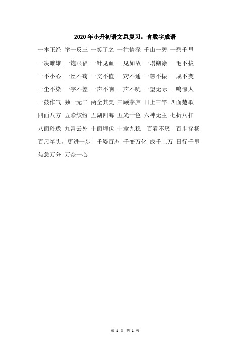 2020年小升初语文总复习：含数字成语