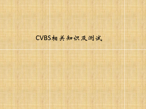 CVBS测试