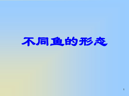 不同鱼的形态小学一年级美术下册PPT课件