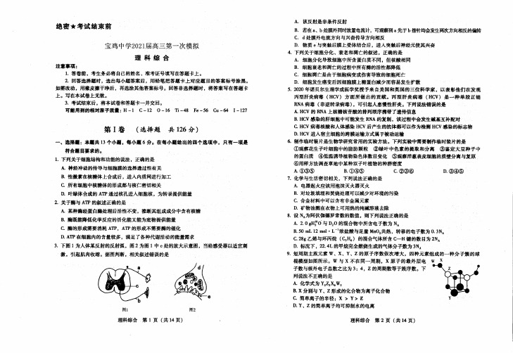 宝鸡中学2021届高三第一次模拟 理科综合 含答案